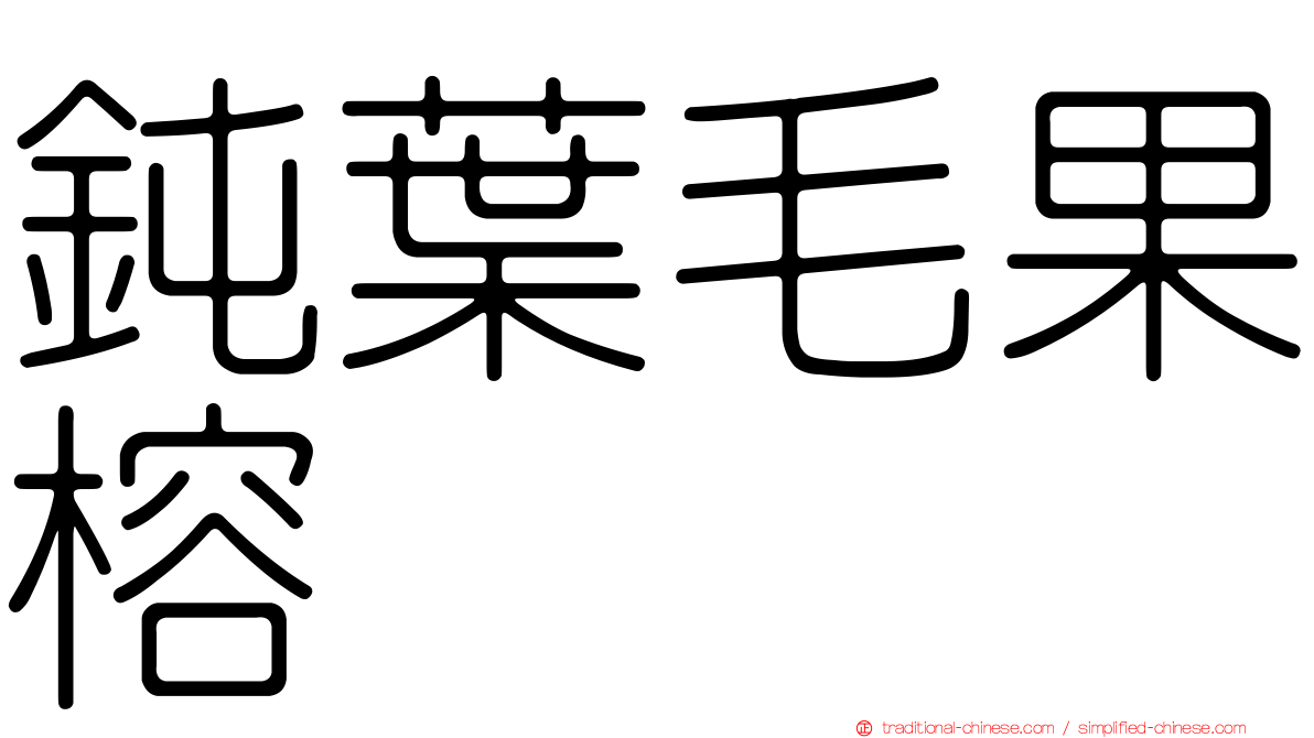 鈍葉毛果榕