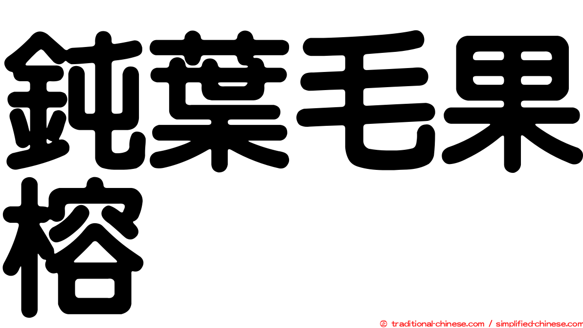 鈍葉毛果榕