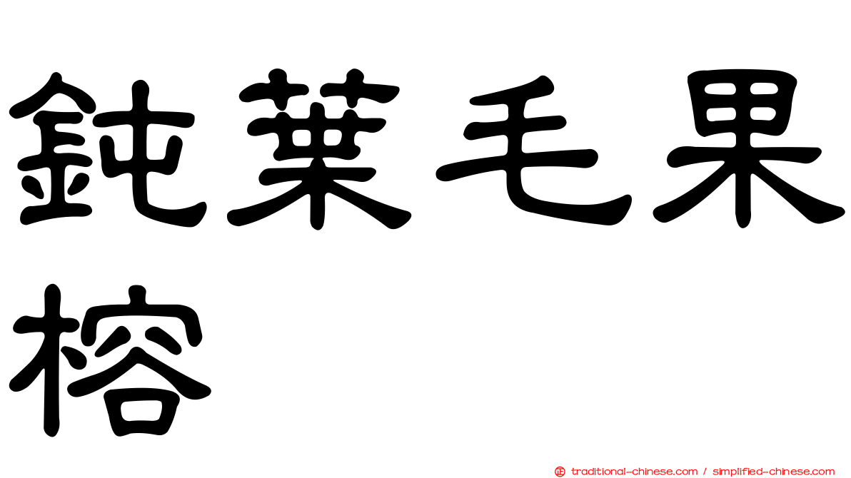 鈍葉毛果榕