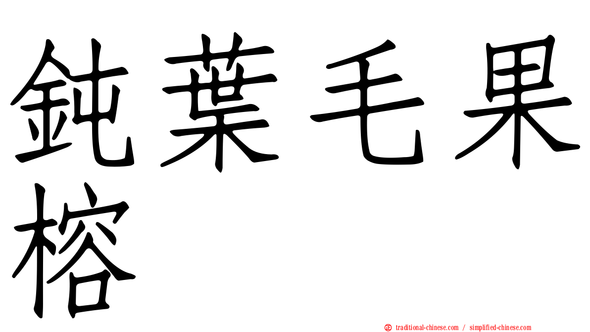 鈍葉毛果榕