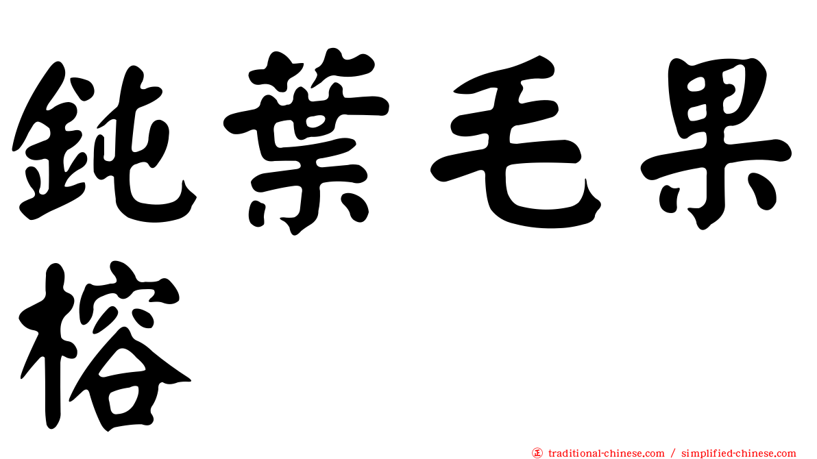 鈍葉毛果榕