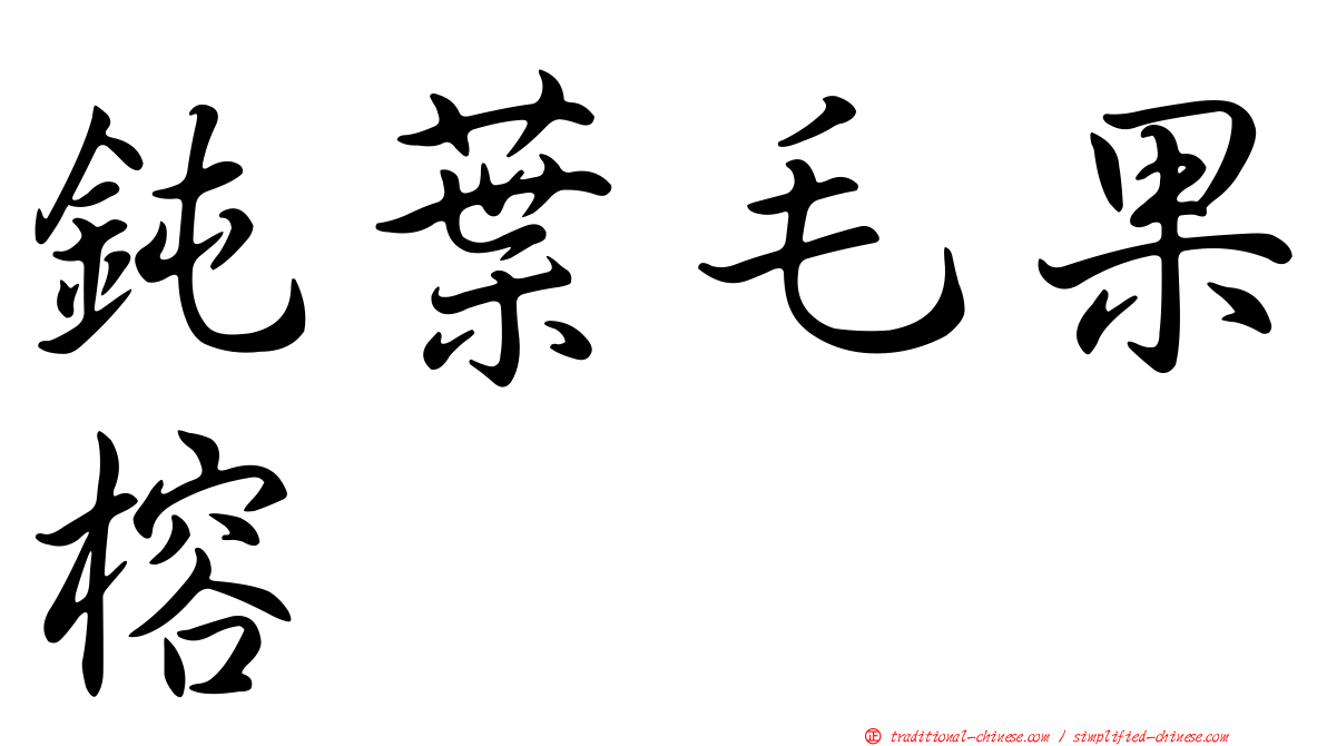 鈍葉毛果榕