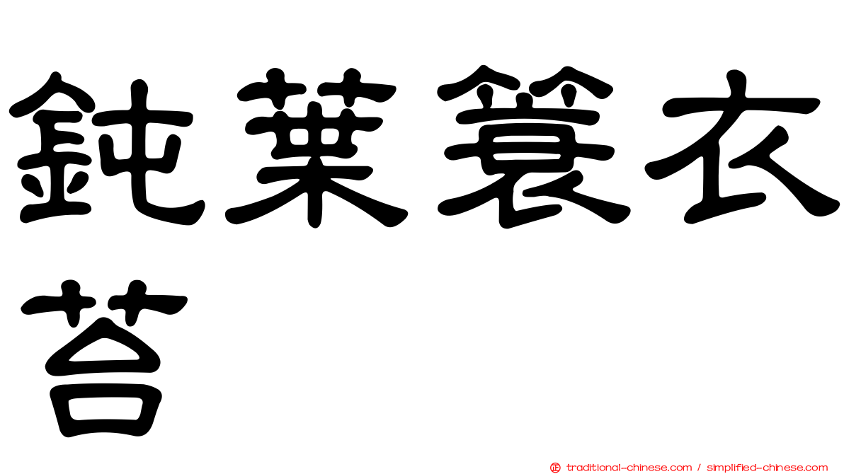 鈍葉簑衣苔