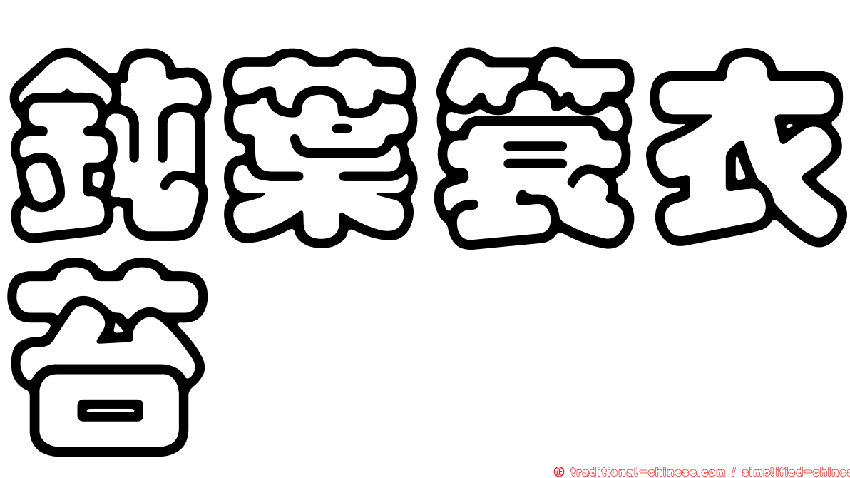 鈍葉簑衣苔