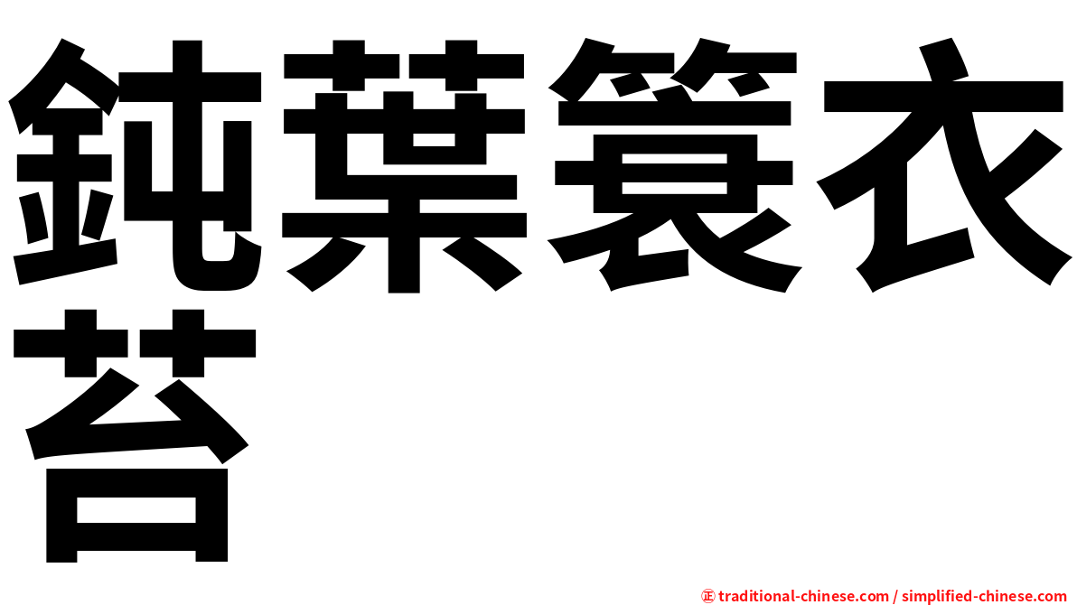 鈍葉簑衣苔