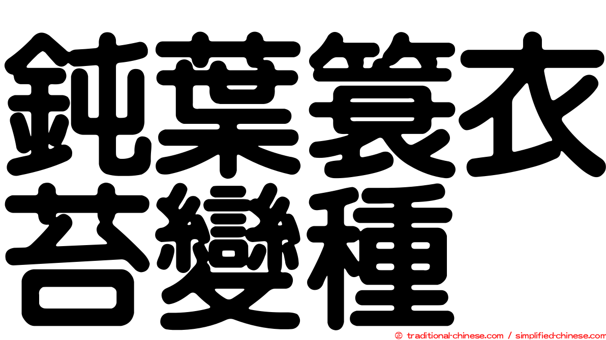 鈍葉簑衣苔變種