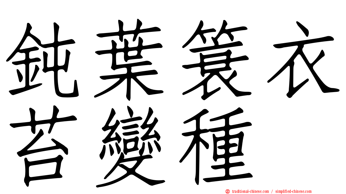 鈍葉簑衣苔變種