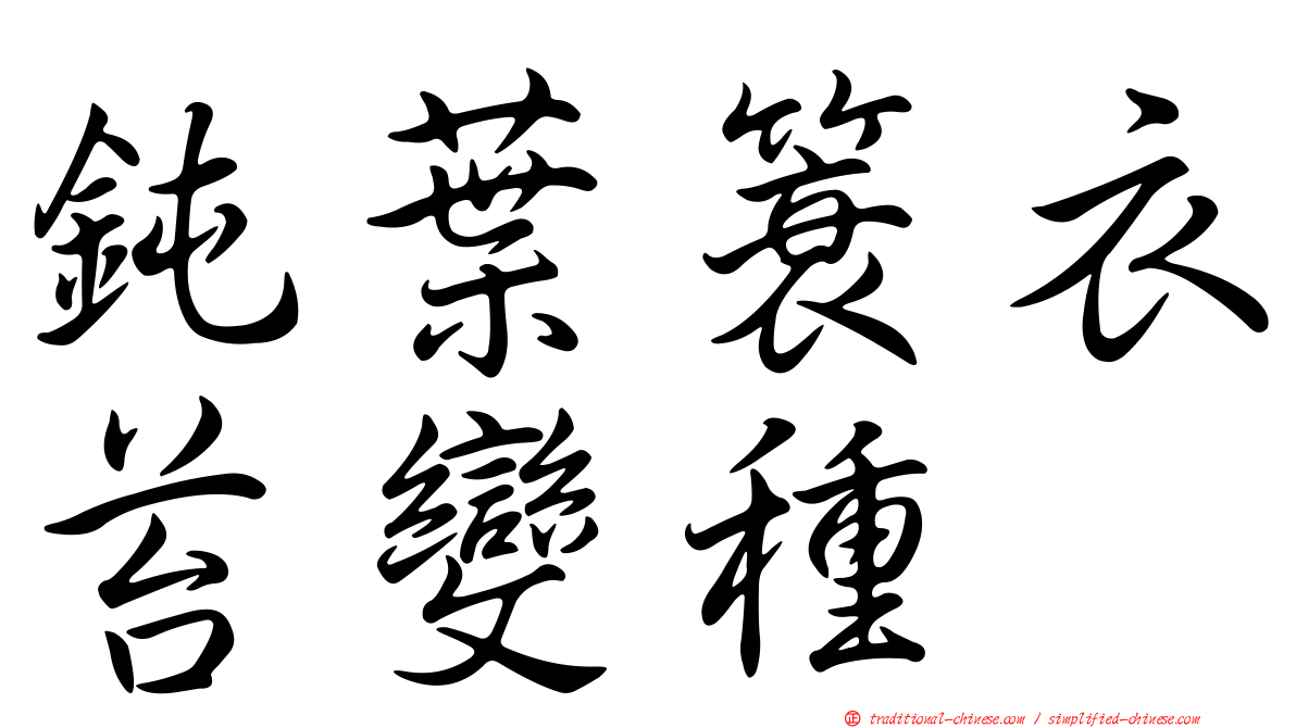 鈍葉簑衣苔變種