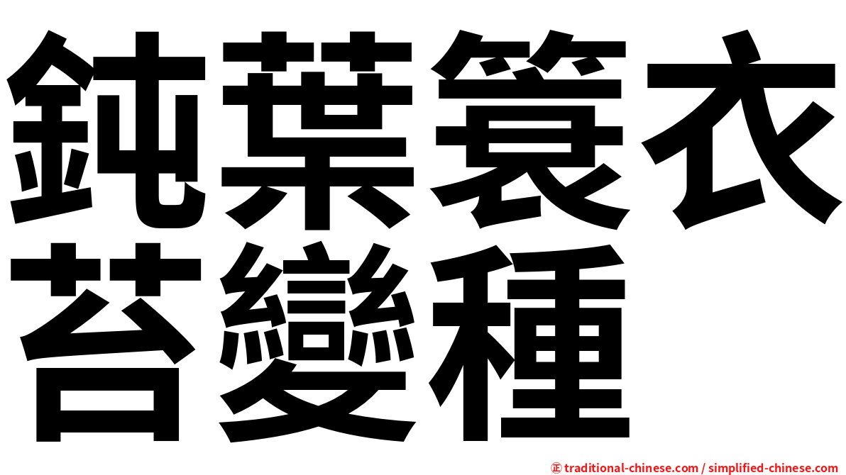 鈍葉簑衣苔變種