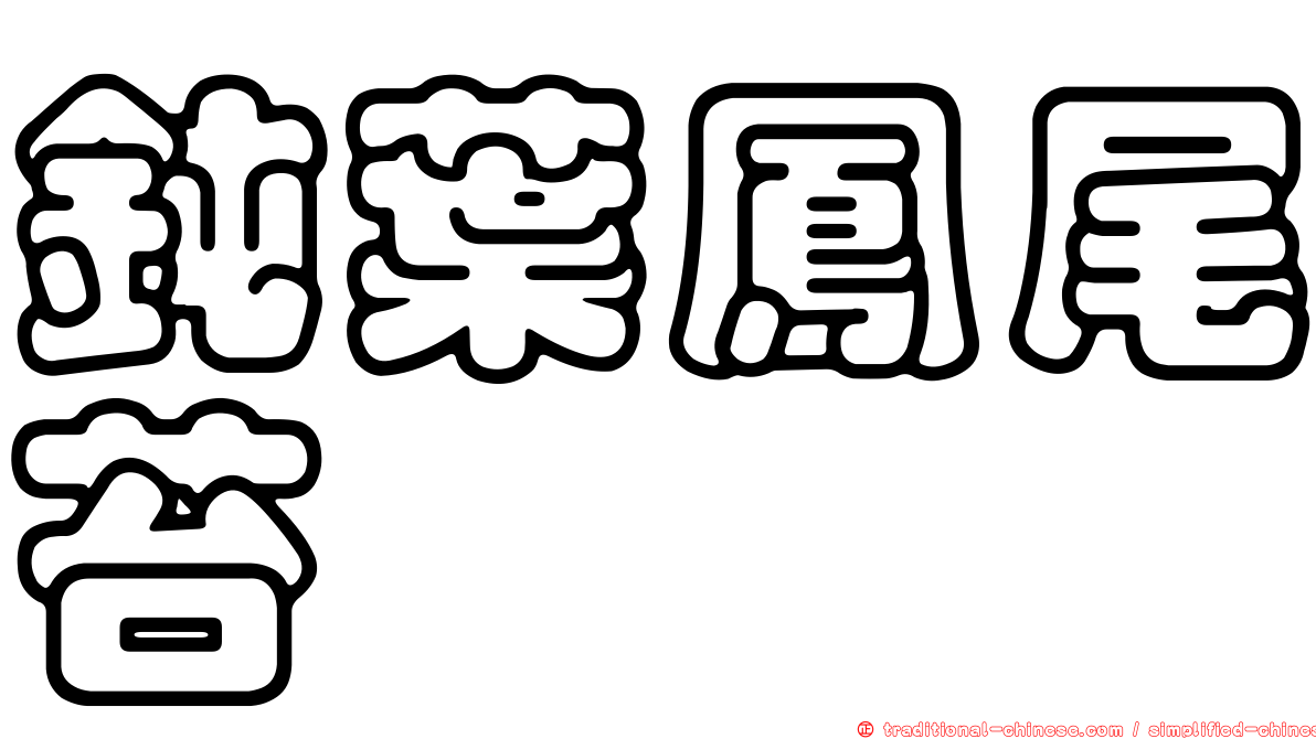 鈍葉鳳尾苔