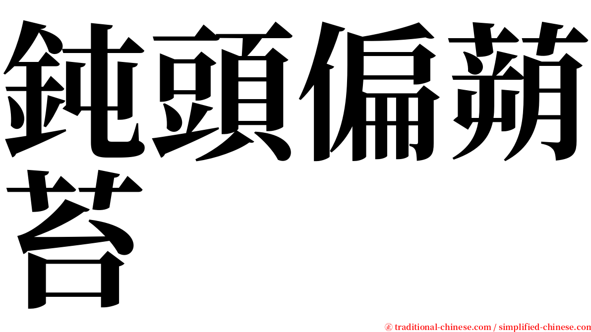 鈍頭偏蒴苔 serif font