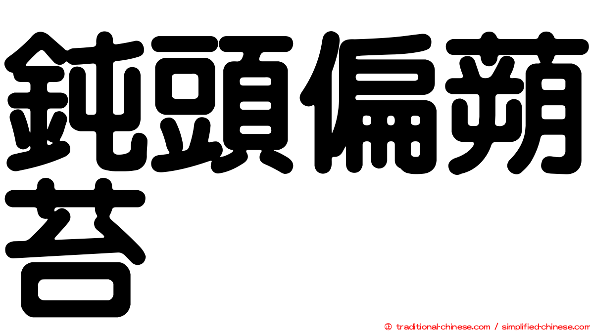 鈍頭偏蒴苔