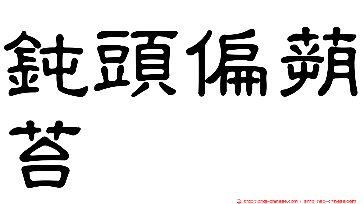 鈍頭偏蒴苔