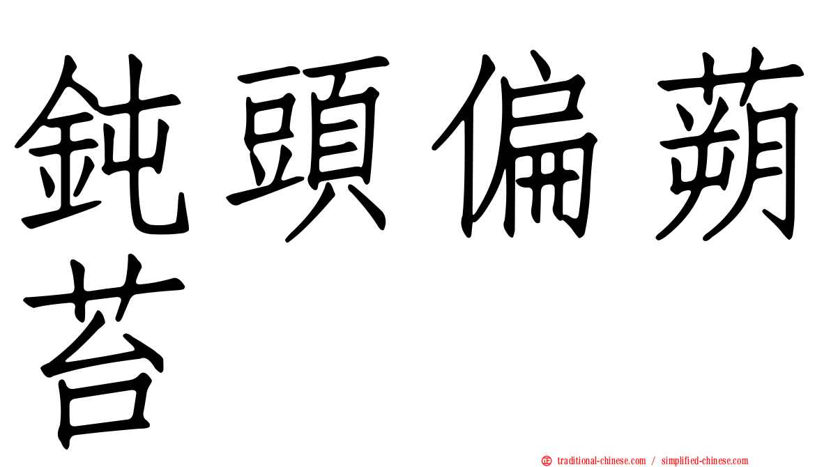 鈍頭偏蒴苔