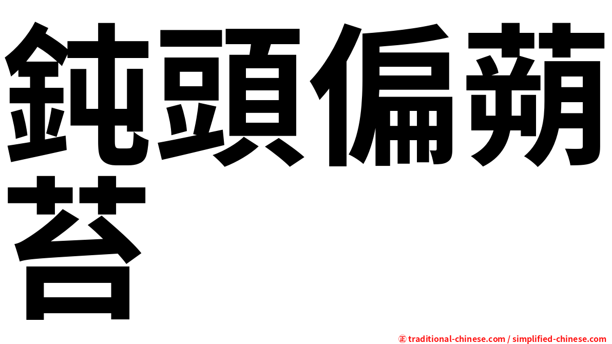 鈍頭偏蒴苔