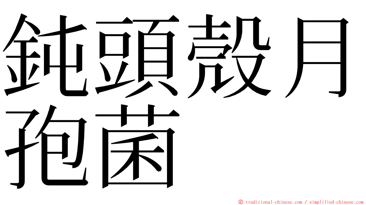 鈍頭殼月孢菌 ming font