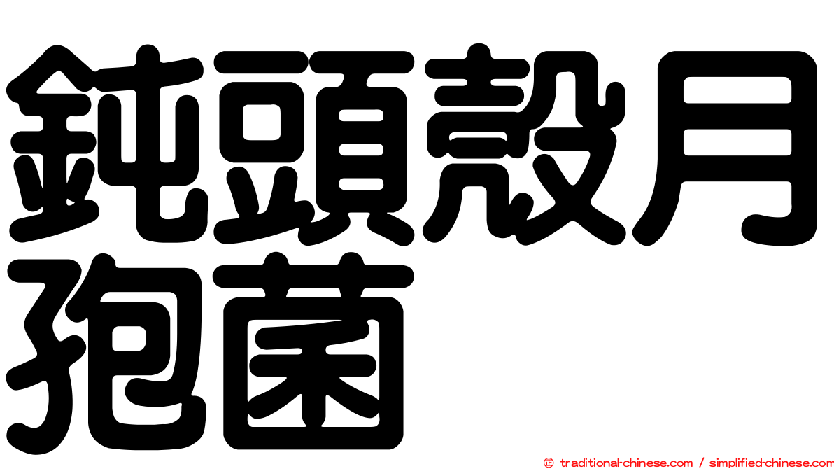 鈍頭殼月孢菌