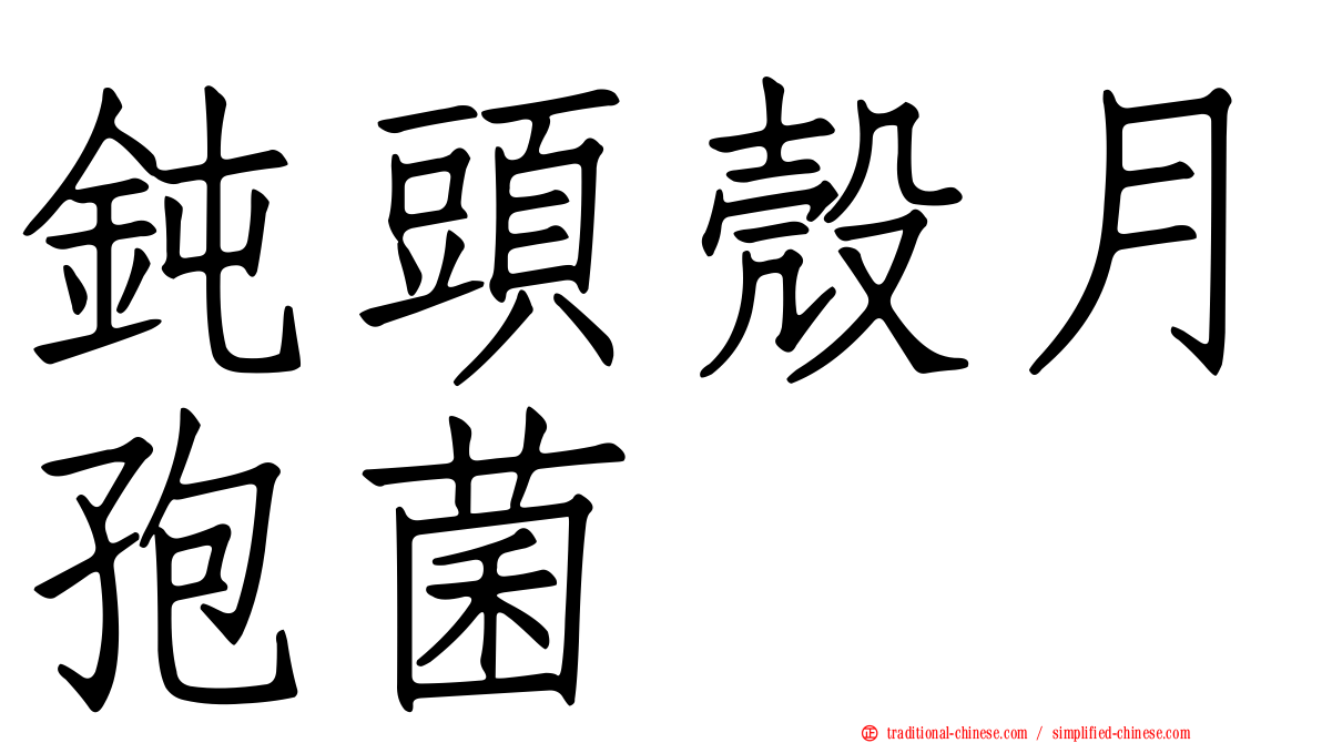 鈍頭殼月孢菌