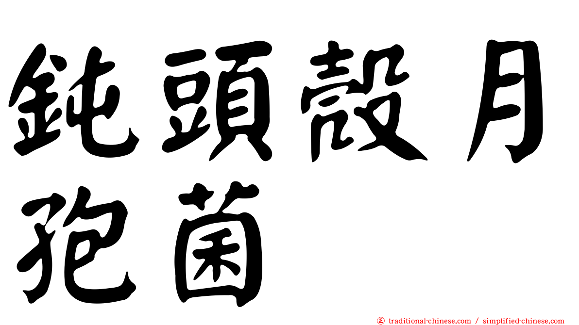 鈍頭殼月孢菌