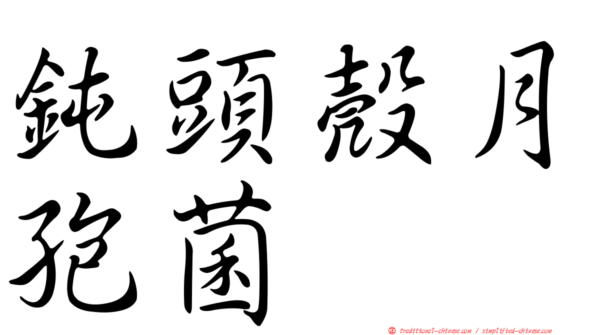 鈍頭殼月孢菌