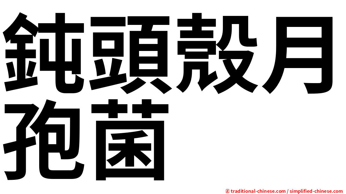 鈍頭殼月孢菌