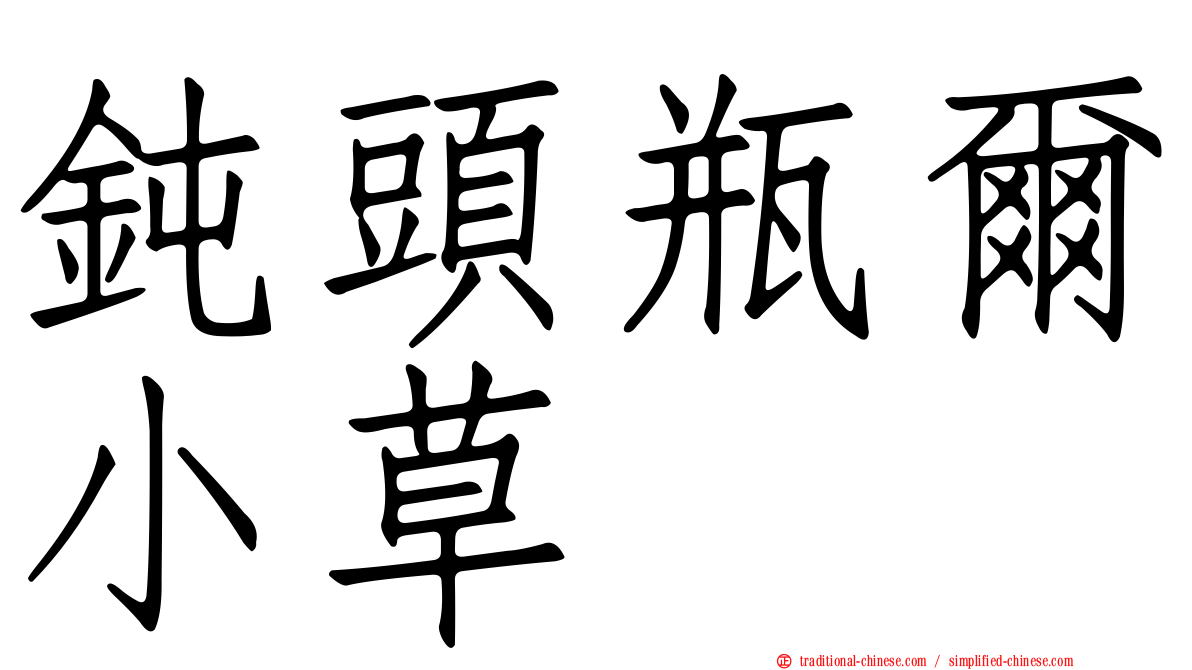 鈍頭瓶爾小草