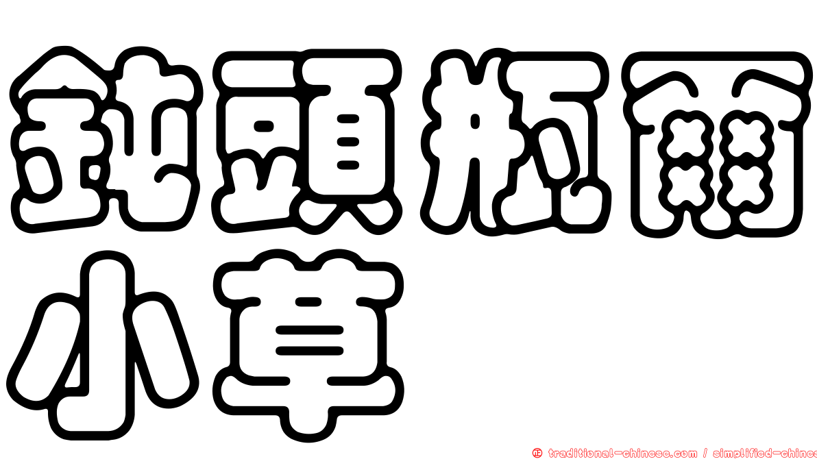 鈍頭瓶爾小草