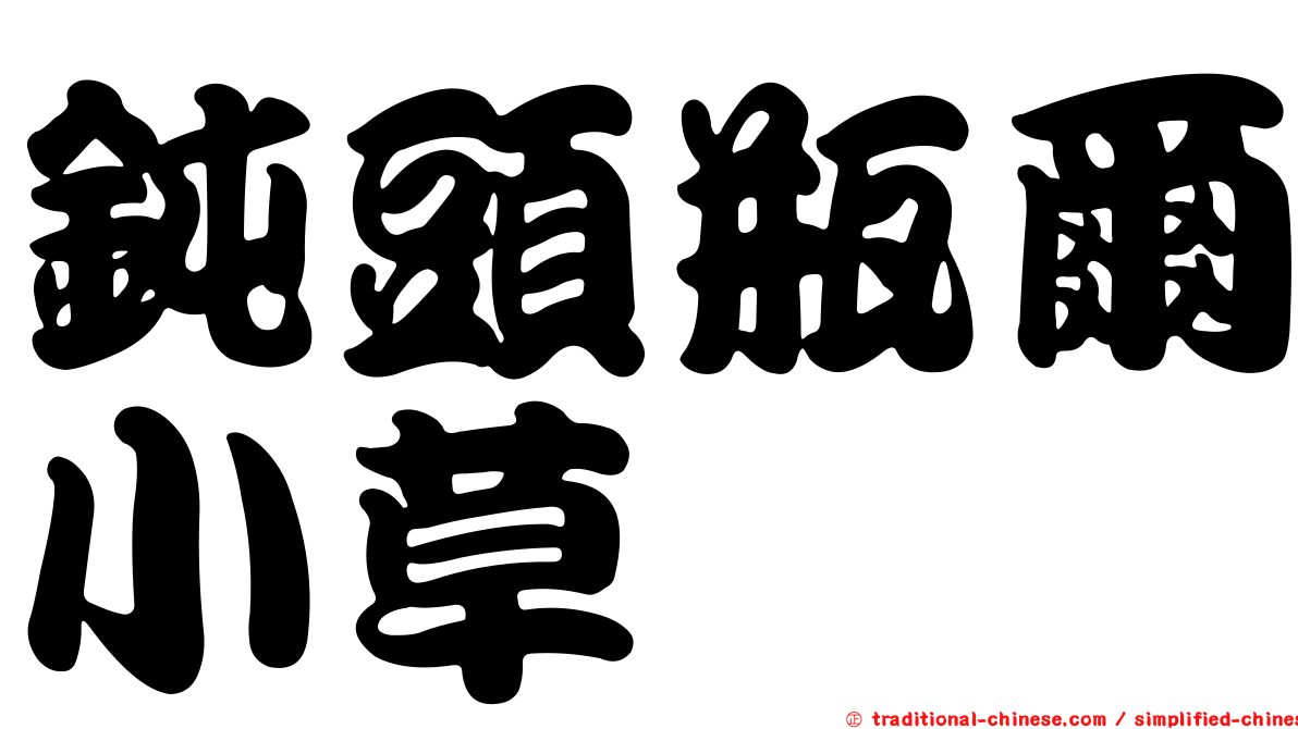 鈍頭瓶爾小草