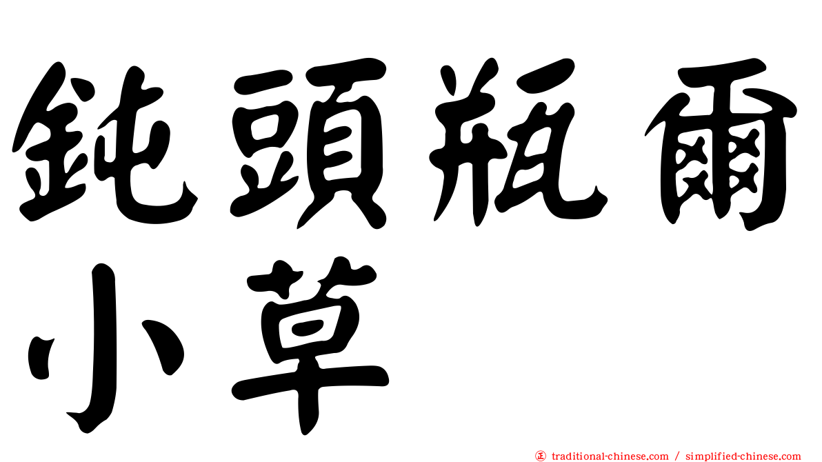 鈍頭瓶爾小草