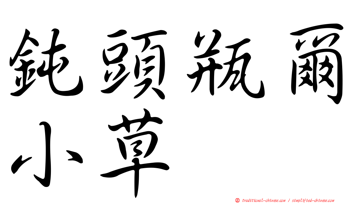鈍頭瓶爾小草