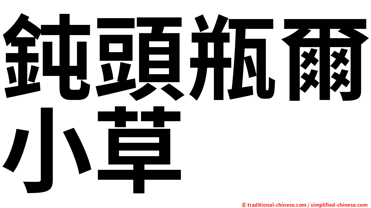鈍頭瓶爾小草