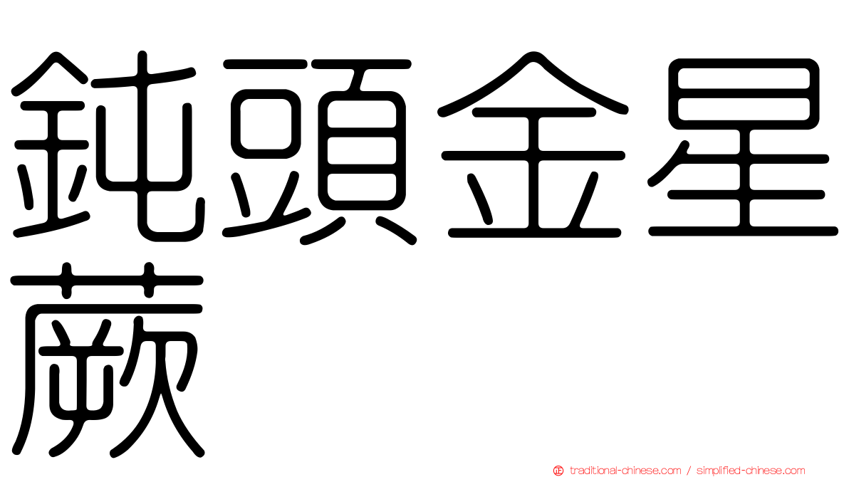 鈍頭金星蕨