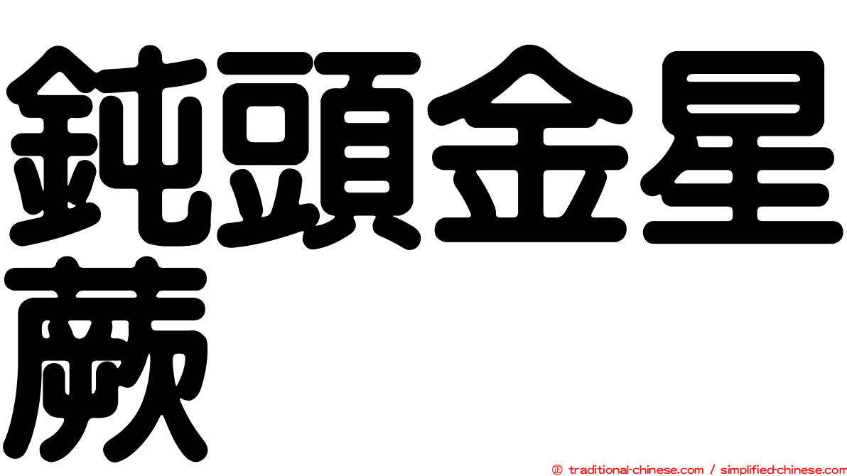 鈍頭金星蕨