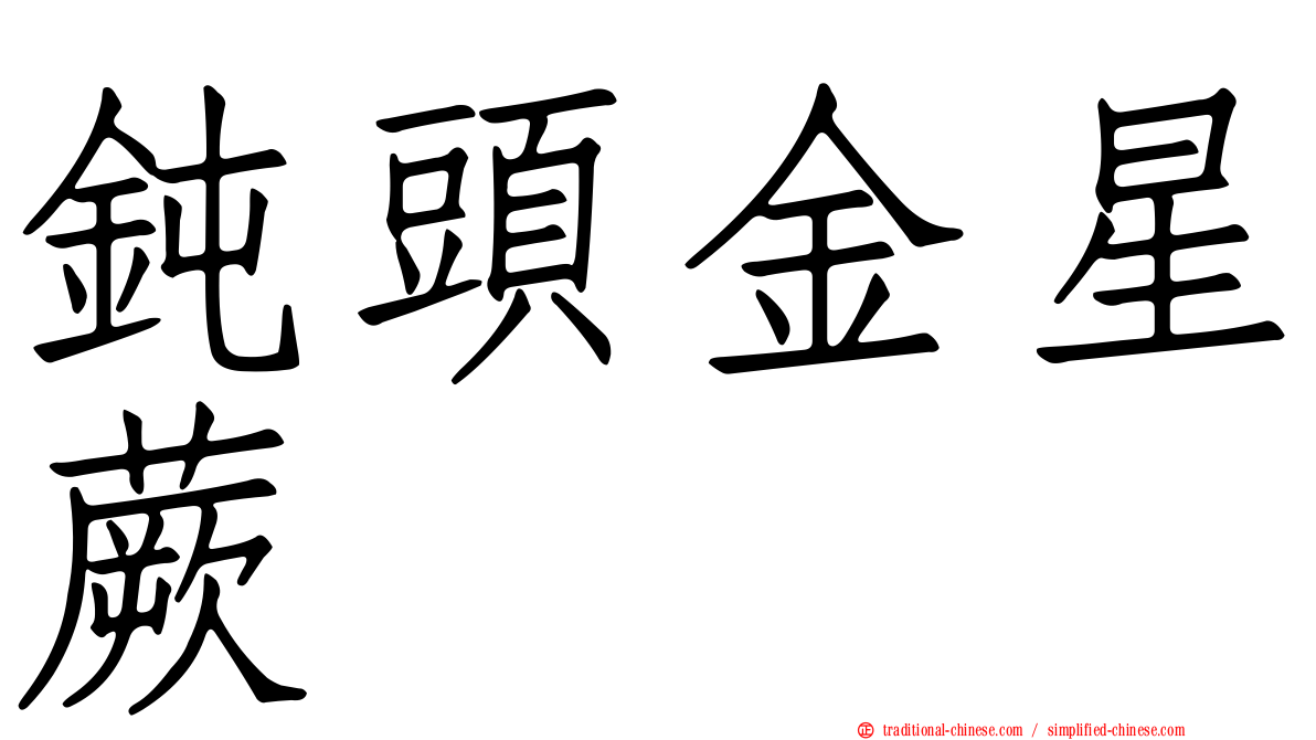 鈍頭金星蕨