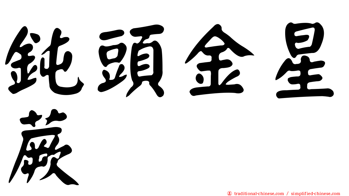 鈍頭金星蕨