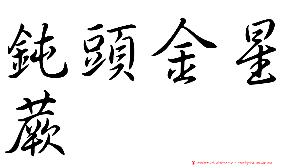 鈍頭金星蕨