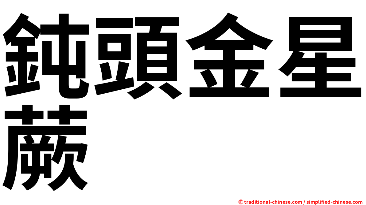 鈍頭金星蕨