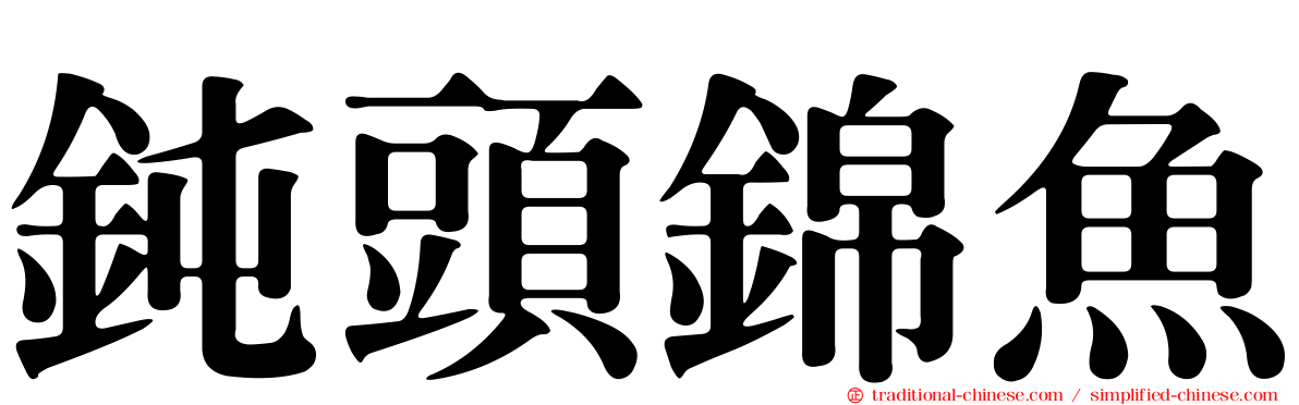 鈍頭錦魚