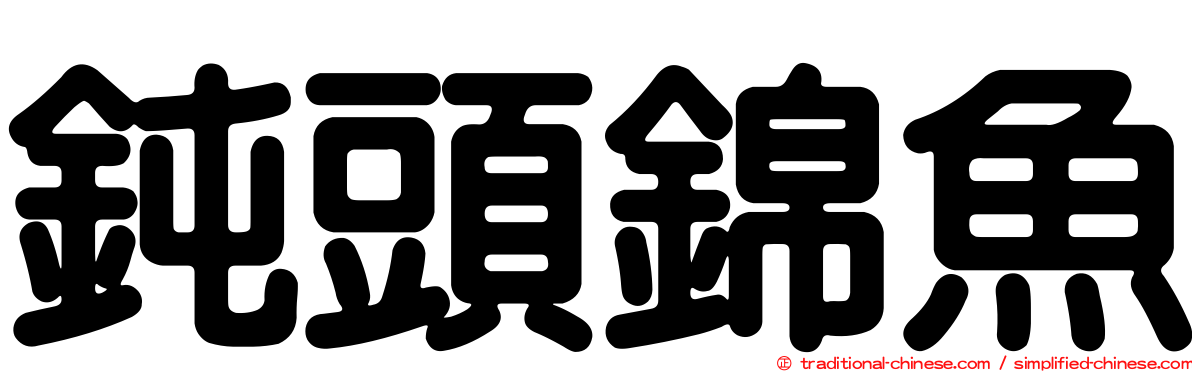 鈍頭錦魚