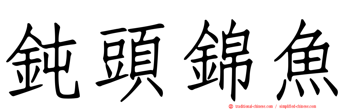 鈍頭錦魚