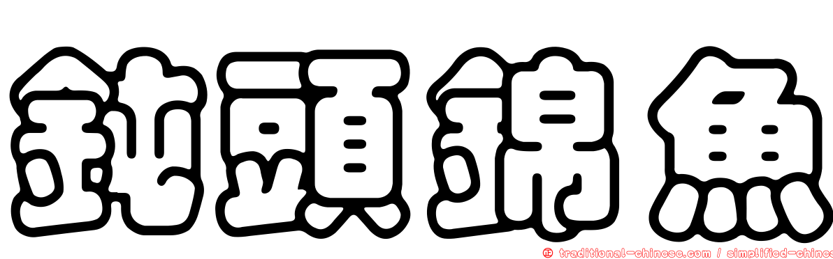 鈍頭錦魚