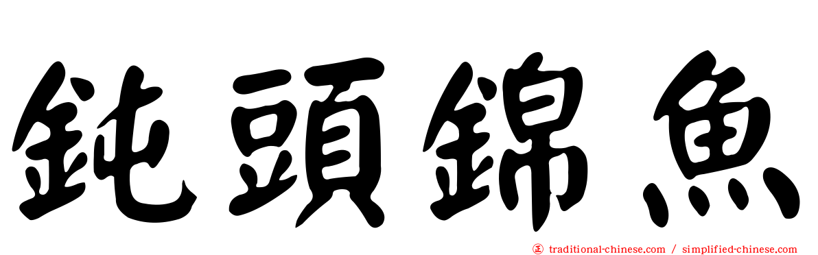 鈍頭錦魚