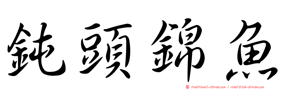 鈍頭錦魚