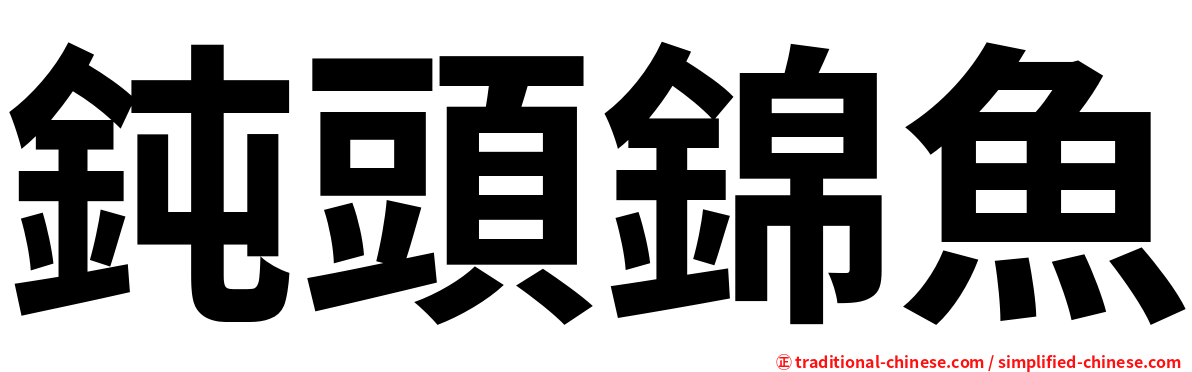 鈍頭錦魚