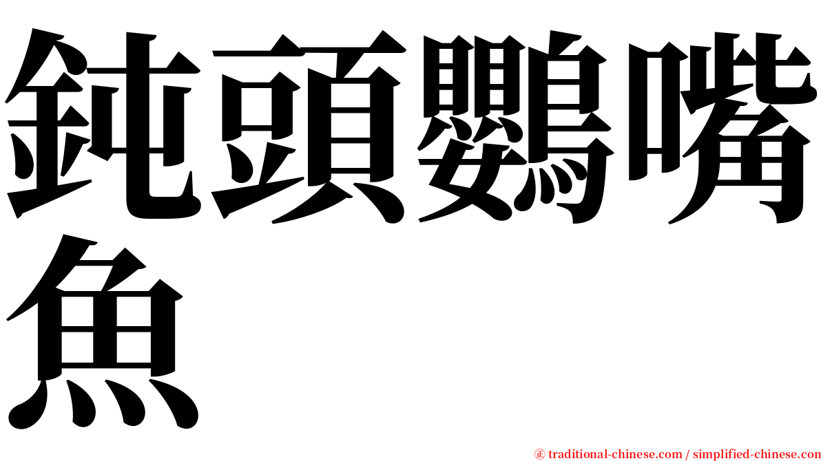 鈍頭鸚嘴魚 serif font