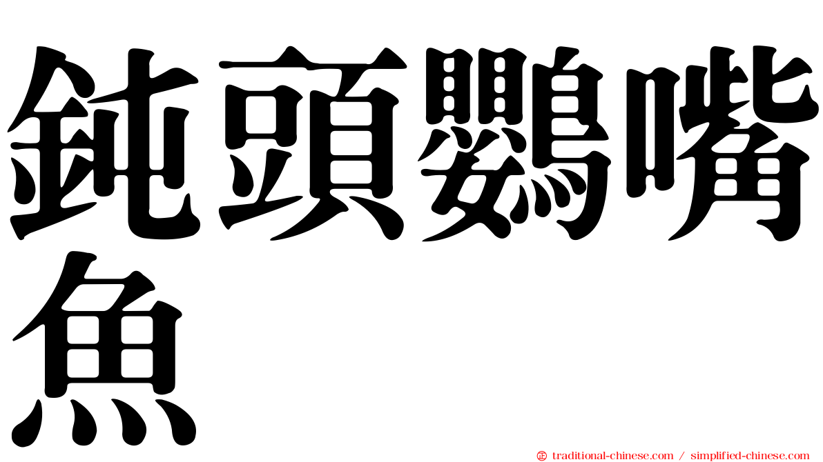 鈍頭鸚嘴魚