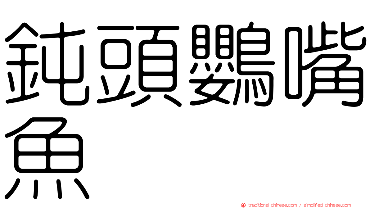 鈍頭鸚嘴魚