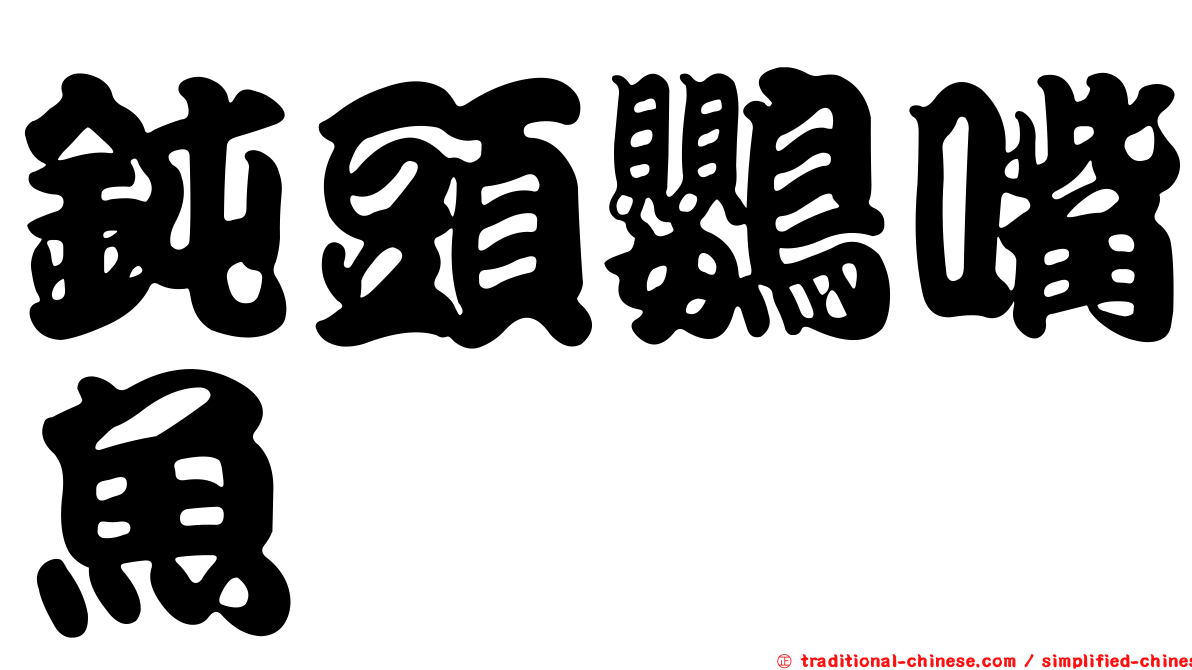 鈍頭鸚嘴魚