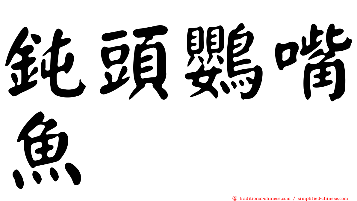 鈍頭鸚嘴魚