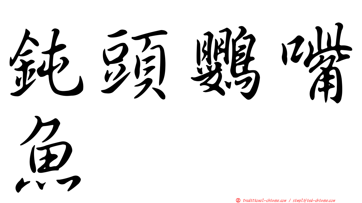 鈍頭鸚嘴魚